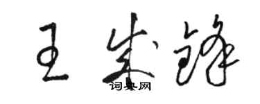 駱恆光王成鋒草書個性簽名怎么寫