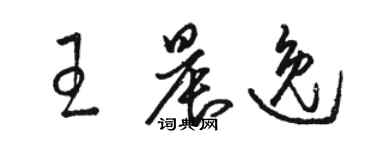 駱恆光王晨逸草書個性簽名怎么寫