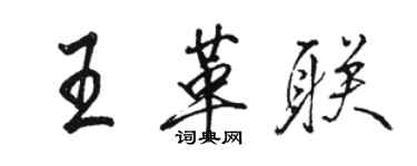 駱恆光王革聯行書個性簽名怎么寫