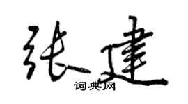 曾慶福張建行書個性簽名怎么寫