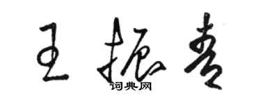 駱恆光王振青草書個性簽名怎么寫