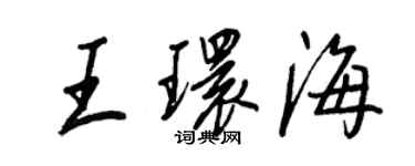王正良王環海行書個性簽名怎么寫