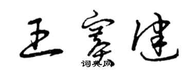 曾慶福王賽健草書個性簽名怎么寫