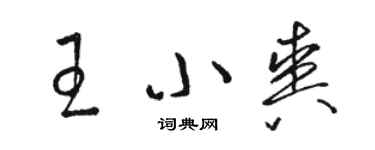 駱恆光王小爽草書個性簽名怎么寫