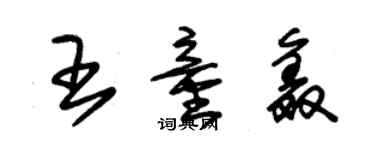 朱錫榮王童鑫草書個性簽名怎么寫