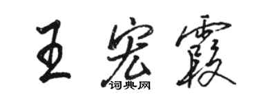 駱恆光王宏霞行書個性簽名怎么寫