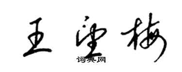 梁錦英王望梅草書個性簽名怎么寫