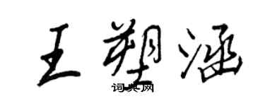 王正良王塑涵行書個性簽名怎么寫