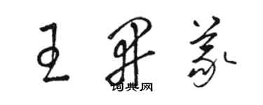 駱恆光王開義草書個性簽名怎么寫