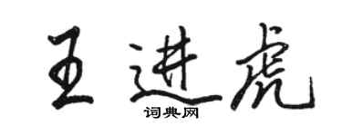 駱恆光王進虎行書個性簽名怎么寫
