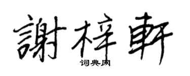 王正良謝梓軒行書個性簽名怎么寫