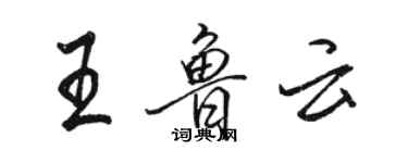 駱恆光王魯雲行書個性簽名怎么寫