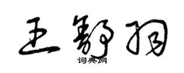 曾慶福王舒羽草書個性簽名怎么寫