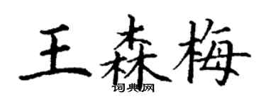 丁謙王森梅楷書個性簽名怎么寫