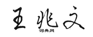 駱恆光王兆文行書個性簽名怎么寫