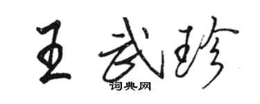 駱恆光王武珍行書個性簽名怎么寫