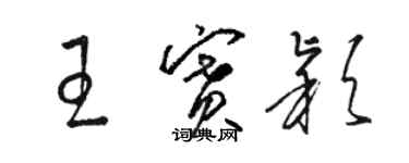 駱恆光王賽穎草書個性簽名怎么寫