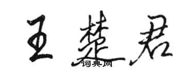 駱恆光王楚君行書個性簽名怎么寫