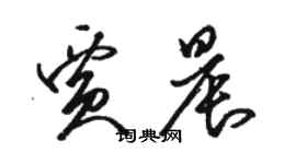 駱恆光賈晨草書個性簽名怎么寫