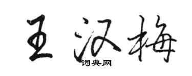 駱恆光王漢梅行書個性簽名怎么寫