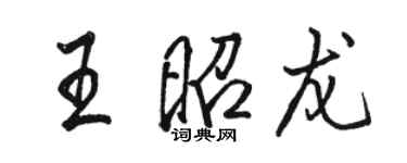 駱恆光王昭龍行書個性簽名怎么寫