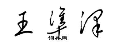 梁錦英王準澤草書個性簽名怎么寫