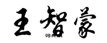 胡問遂王智蒙行書個性簽名怎么寫