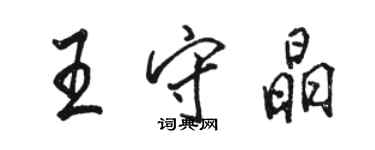 駱恆光王守晶行書個性簽名怎么寫