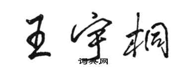 駱恆光王宇桐行書個性簽名怎么寫