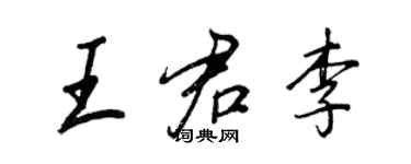王正良王君李行書個性簽名怎么寫