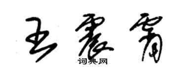 朱錫榮王震霄草書個性簽名怎么寫