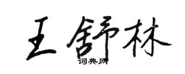 王正良王舒林行書個性簽名怎么寫
