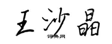 王正良王沙晶行書個性簽名怎么寫