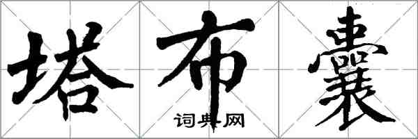 翁闓運塔布囊楷書怎么寫