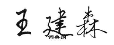 駱恆光王建森行書個性簽名怎么寫