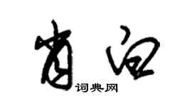 朱錫榮肖白草書個性簽名怎么寫