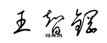 梁錦英王智鋼草書個性簽名怎么寫