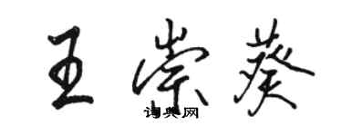 駱恆光王崇葵行書個性簽名怎么寫