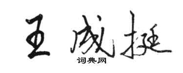 駱恆光王成挺行書個性簽名怎么寫