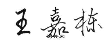 駱恆光王嘉棟行書個性簽名怎么寫