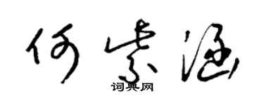 梁錦英何紫涵草書個性簽名怎么寫