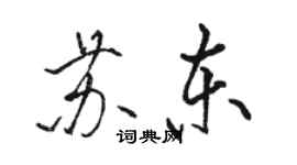 駱恆光蘇東行書個性簽名怎么寫