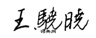 王正良王驍曉行書個性簽名怎么寫
