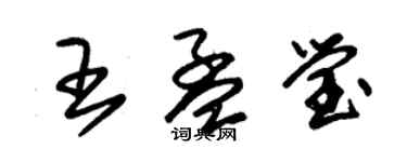 朱錫榮王孟瑩草書個性簽名怎么寫