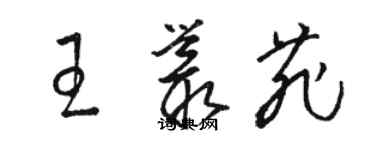 駱恆光王叢菲草書個性簽名怎么寫