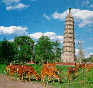 1982年2月15日我國公布首批歷史文化名城_歷史上的今天