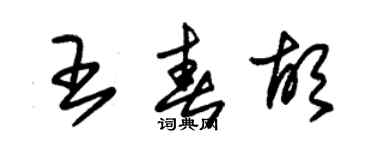 朱錫榮王春胡草書個性簽名怎么寫