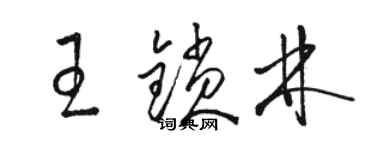 駱恆光王鎖林草書個性簽名怎么寫