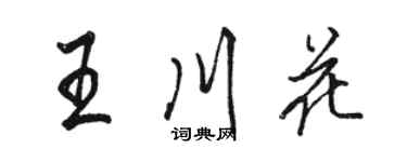 駱恆光王川花行書個性簽名怎么寫