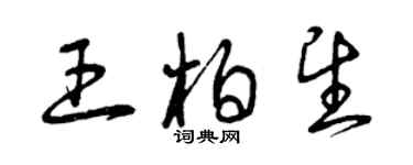 曾慶福王柏望草書個性簽名怎么寫